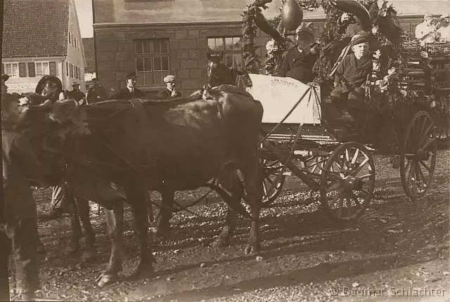 Ochsengespann zur Fastnacht um 1900)