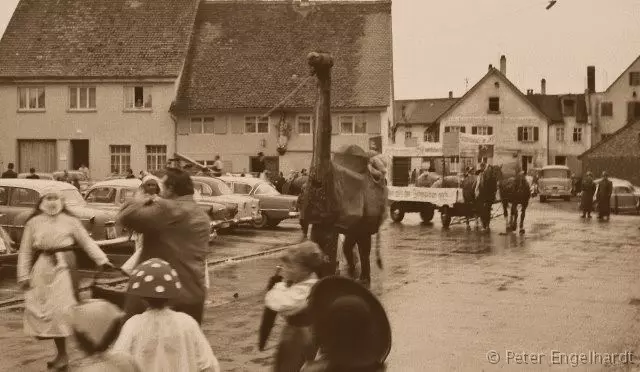 Kamel im Fastnachtsumzug Ochsenhausen