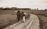 1964 Burghalde Ochsenhausen