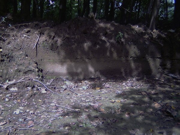 Rest vom Werk 11 im Fürstenwald bei Ochsenhausen