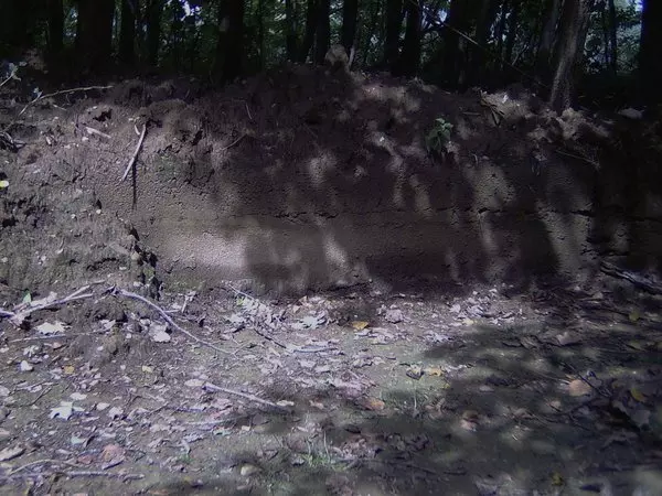 Rest des "Werk 11" der Firma Focke-Achgelis & Co GmbH Ruine von Werk 11 der Firma Focke-Achgelis