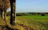 Herbstansicht von der Alten (Biberacher) Straße auf Ochsenhausen (25.10.2012)