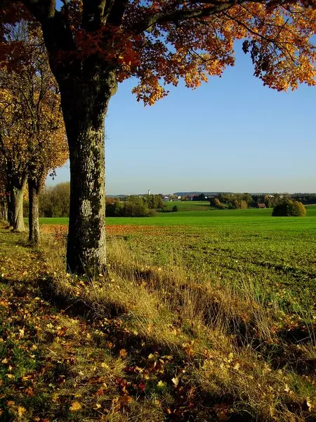 Herbstansicht von der Alten (Biberacher) Straße auf Ochsenhausen (25.10.2012) Die Alte Straße in Ochsenhausen